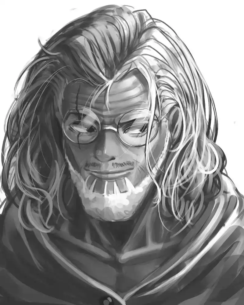 此作品图片来自于微信海贼王公众号#此生不悔入海贼  - 抖音