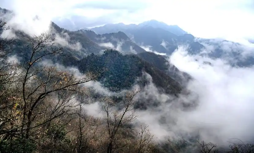 陕南鬼谷岭秦岭深处的云雾仙境