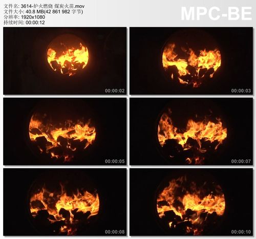 炉火燃烧煤炭火苗 高清视频实拍素材