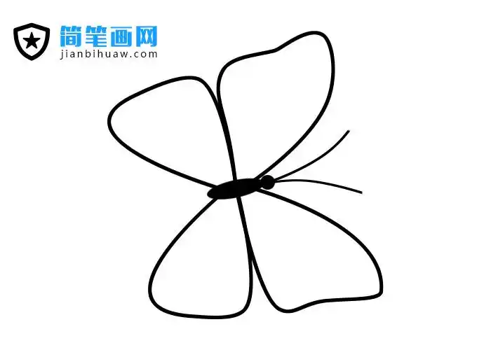 上色花蝴蝶简笔画图片包含分解步骤和上色蝴蝶(简称蝴蝶)是节肢动物纲
