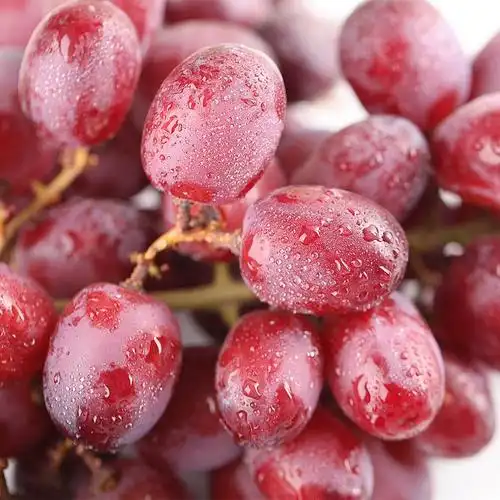 智利进口无籽红提500g【价格 多少钱 图片 怎么样】 - 本来生活网