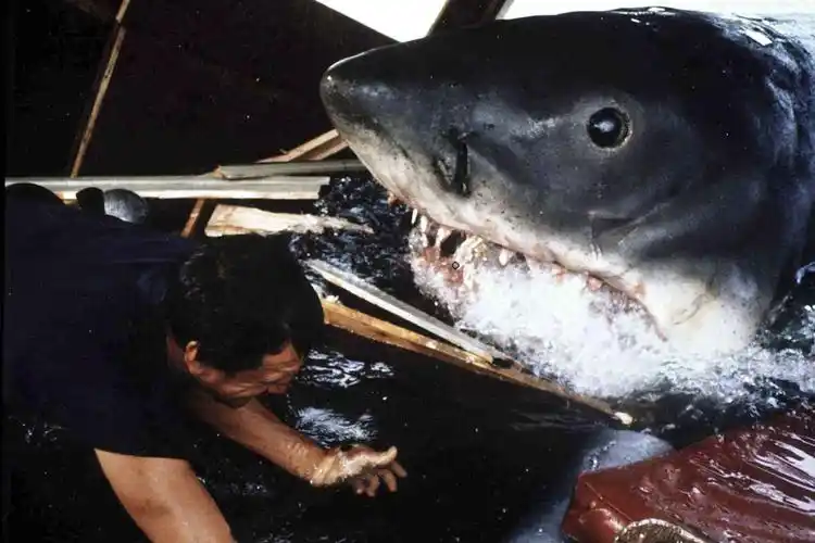 《大白鲨》剧照.