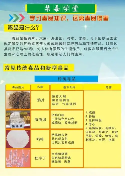 毒品危害有多大损伤的不仅是大脑