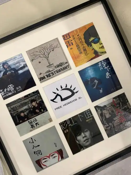相框是我自己设计的都是雷子专辑和单曲的封面我按发行时间顺序排列的