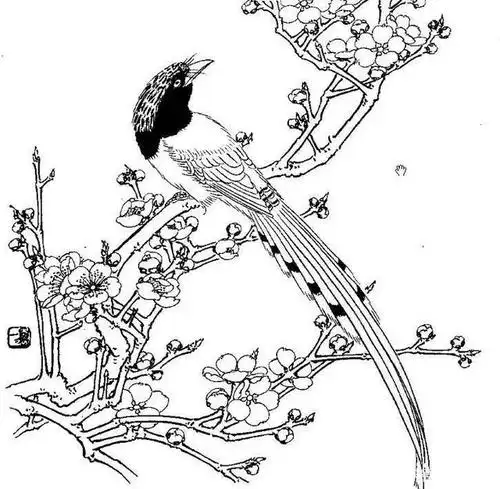 白描是学习工笔画的基础,必须多练线,分享一些白描,供大家学习