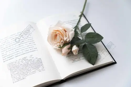 一本书上面的一枝花