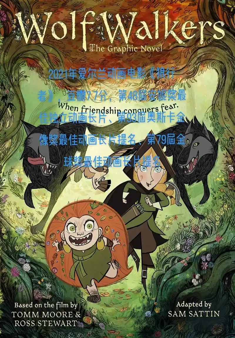 2021爱尔兰动画电影《狼行者》,豆瓣7.7分,先后获第48 - 抖音