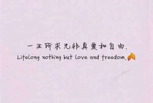 一生所求无非爱和自由