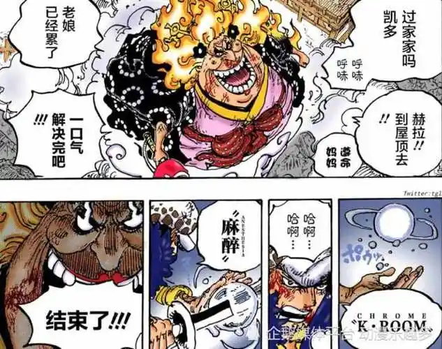 海贼王手术果实的另外两个名字寂静果实橡胶果实