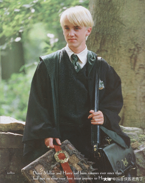 赫奇帕奇后援会 哈利波特—人物介绍 德拉科·马尔福_大神