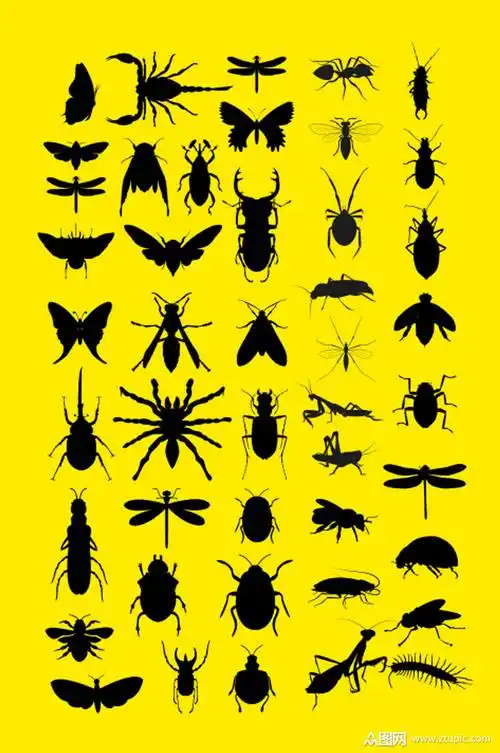 矢量昆虫集剪影素材