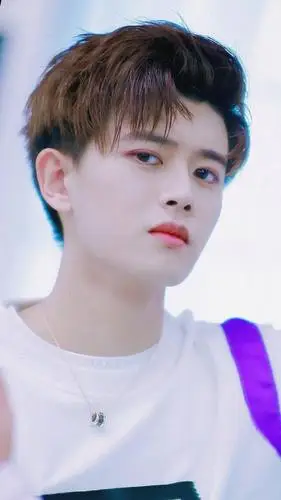 手机壁纸任嘉伦