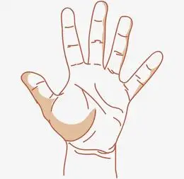 伸出五根手指手势图