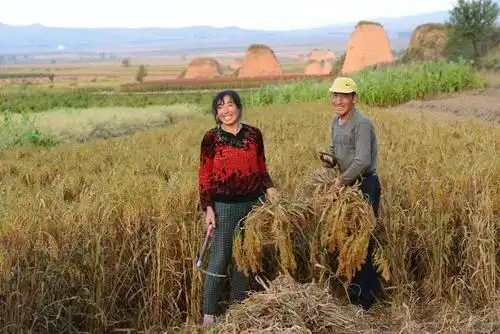 杨玉军喇嘛湾镇黄河枫景移民小区 曹利明喇嘛湾镇榆树湾 刘志平韭菜庄