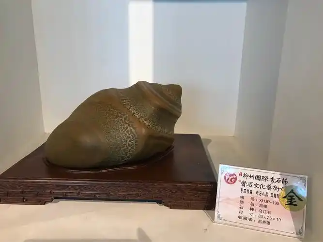 2018柳州奇石节金奖石欣赏