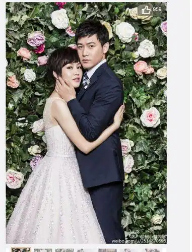 鲍蕾晒与老公陆毅婚纱照 庆祝相恋20年(组图)