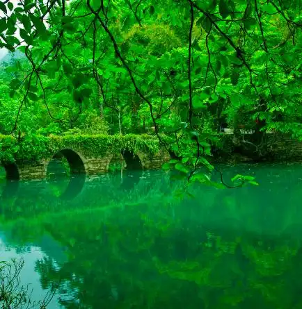 绿色主题的风景图,绿色主题的图片(绿韵美景 太美了)