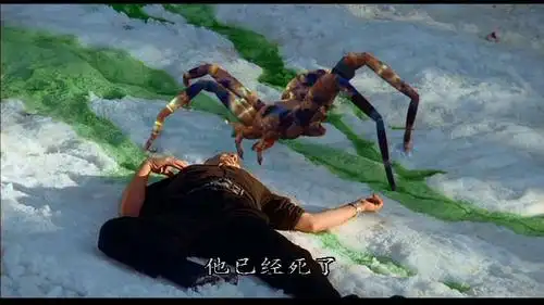 在冰天雪地上,两个猎人正在捕杀猎物,途中他们发现了只巨型大蜘蛛