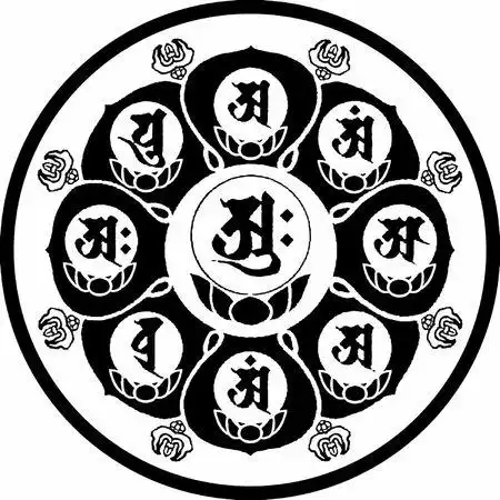 这两个是什么咒轮?