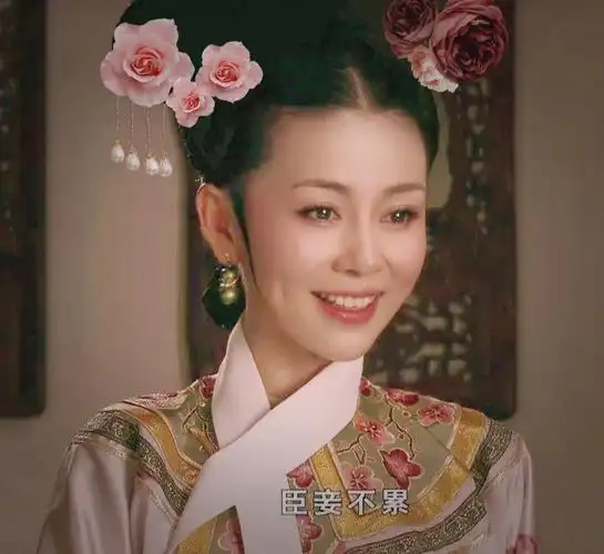 齐妃p图小白仅供消遣