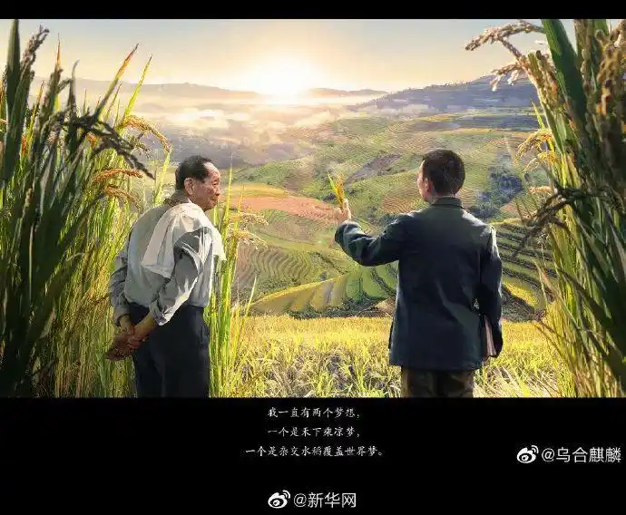 缅怀袁老的这幅画作,刷屏了|袁隆平_新浪新闻
