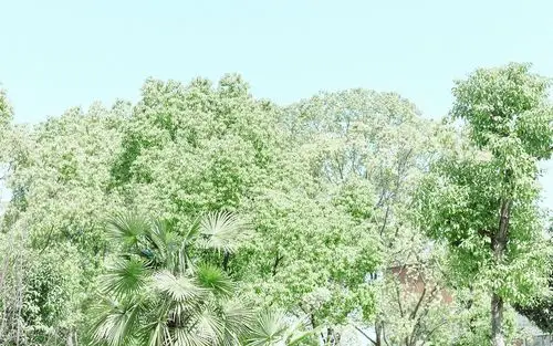 小清新自然风光美景高清桌面壁纸