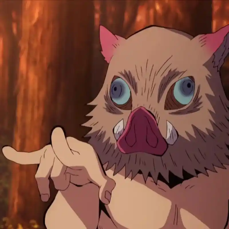 鬼灭之刃 #嘴平伊之助 #猪突猛进 #鬼灭之刃第二季 #动 - 抖音