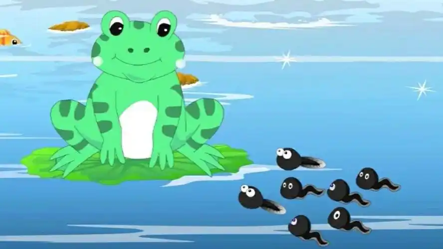 小级绘本阅读故事《小蝌蚪找妈妈》第一期