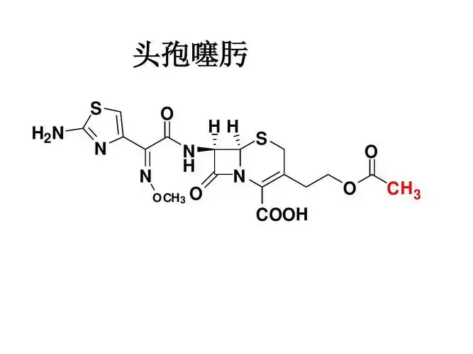 免费文档 所有分类 高等教育 医学 抗生素复习答案ppt 抗生素的结构式