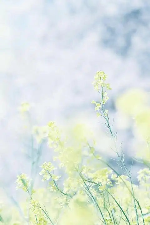 思念时光唯美意境手机壁纸下载