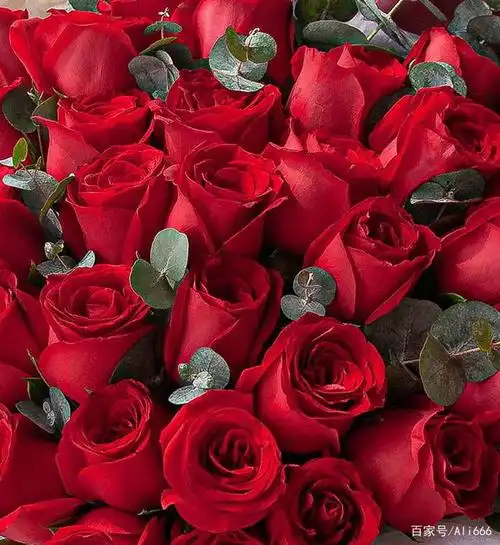 2021年最新最全七夕送什么花攻略|不同鲜花花语推荐