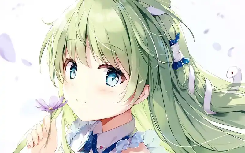 【动态壁纸】东风谷早苗