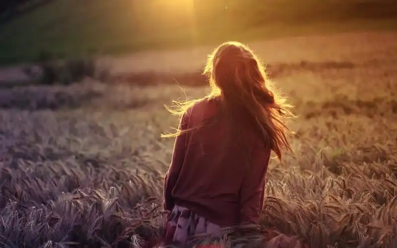 夕阳下的背影1600x1200分辨率查看