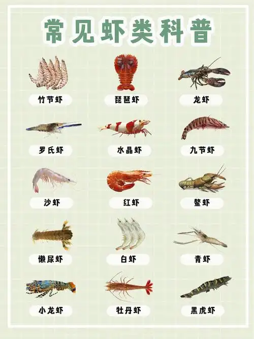 7815但是可能在别的地区九节虾有其他的名字不过大家千万不要搞混