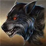 霸气凶残的狼的头像动漫