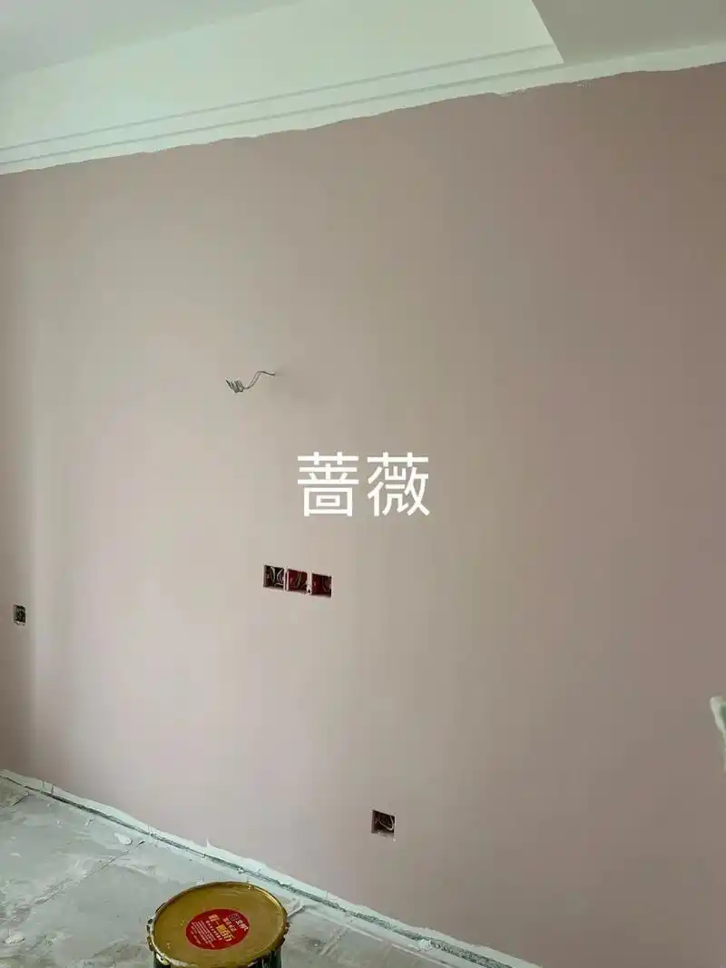 乳胶漆第一遍轻纱,蔷薇,杏子灰 轻纱,高级感满满.