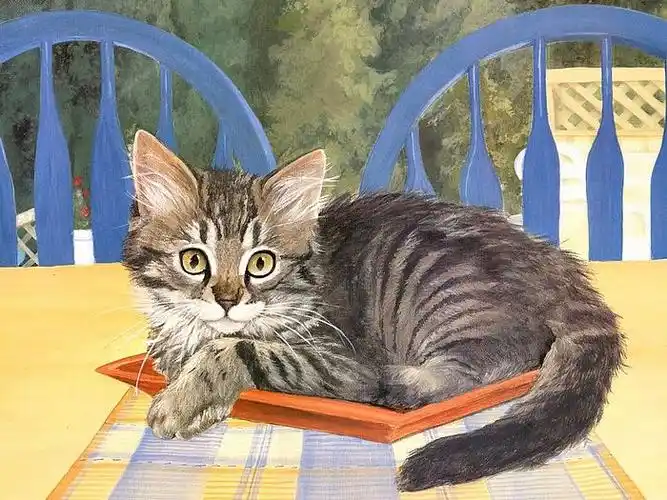 画家笔下的可爱猫咪壁纸 -  lyn estall 猫咪插画 - 可爱手绘猫咪