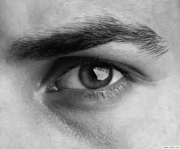 眼睛眼神图片262