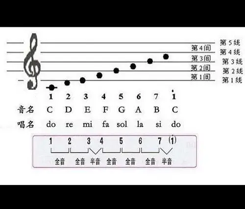 全音半音关系图