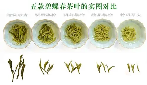 收藏碧螺春等级对此图