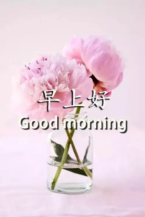 情侣早安情话问候语情侣每日早安情话