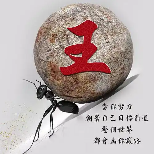 编号1747:20张免费姓氏,2020勇往直前-微信头像,百家姓氏微信头像