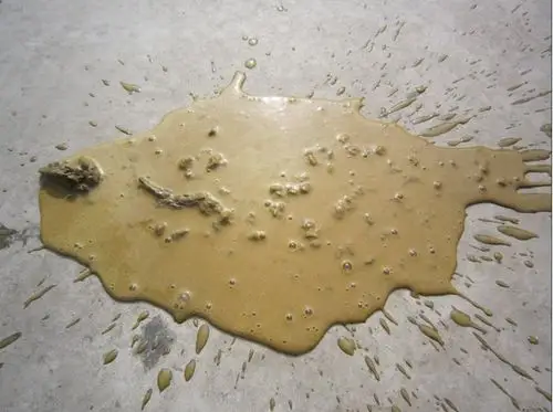 狗狗拉稀一天拉好多_狗狗为什么拉稀