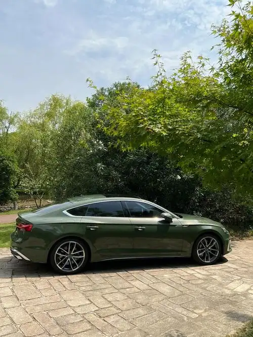 大人也要玩玩具  #笔记灵感奥迪a5的耀夜绿真的太太太太太好看了是锁