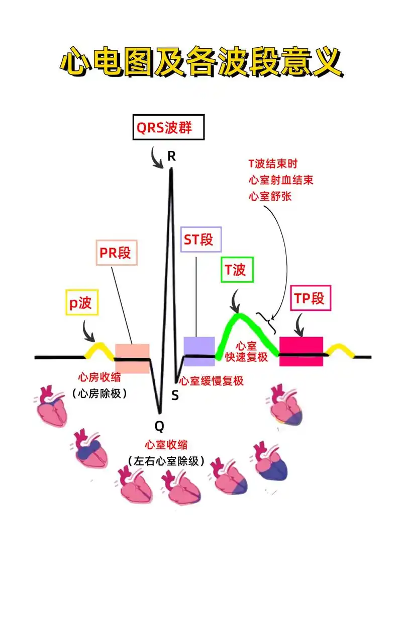 带你看懂心电图#护考 #护士 #护士资格证 #护士懂护士 - 抖音