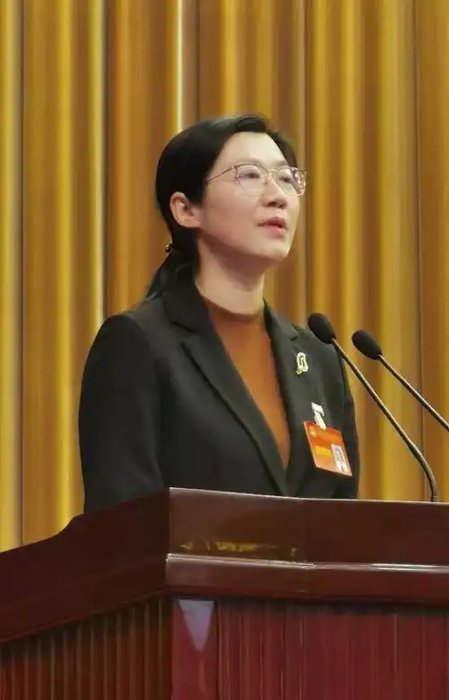 完利梅副主委代表民进市委就在常高校与城市协同发展作政协大会发言