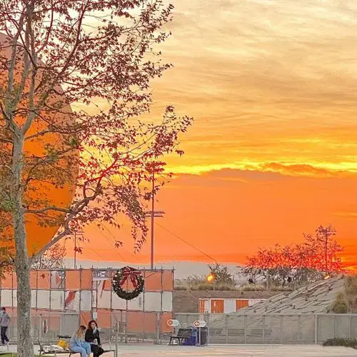 因为你爱上整个夏天 今日份朋友圈背景图/ins潮图 源自各处 侵权致歉.