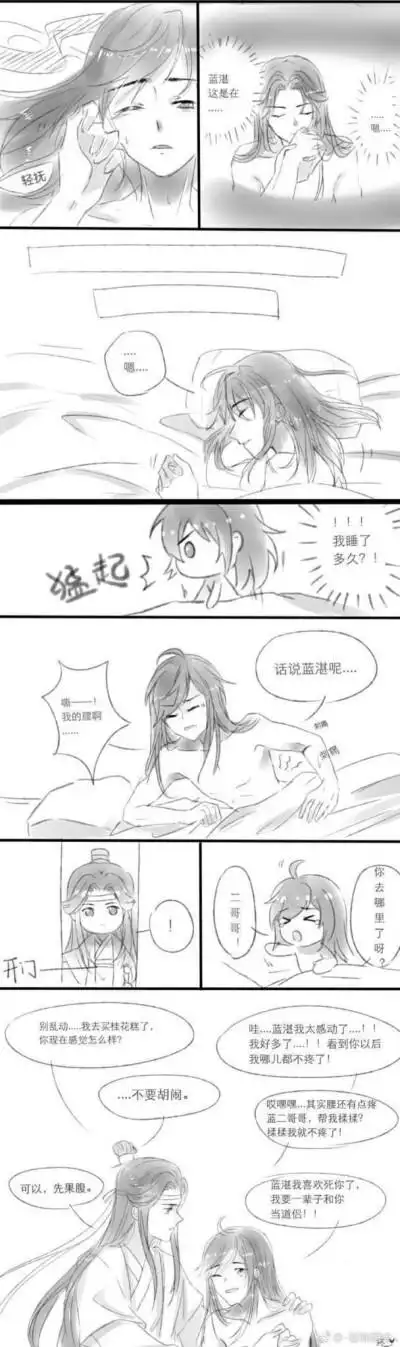 魔道祖师忘羡车