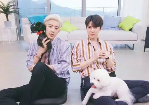 灿勋吴世勋-朴灿烈 - 堆糖,美图壁纸兴趣社区