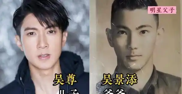 18对明星父子颜值对比胡歌父子如复制黏贴郑恺的颜值略逊老爸